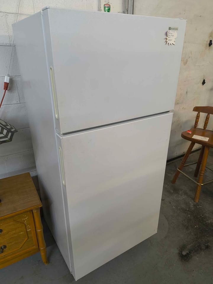 Americana by GE 15.6 Cu. Ft. Refrigerator photo 4