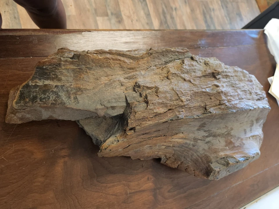 Large Heavy Driftwood for Decor and Craft Projects photo 2