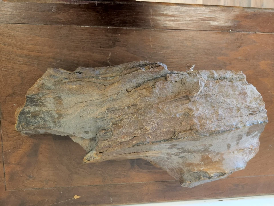 Large Heavy Driftwood for Decor and Craft Projects photo 3