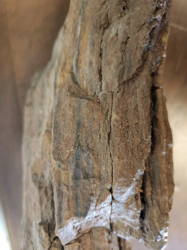 Large Heavy Driftwood for Decor and Craft Projects photo 6