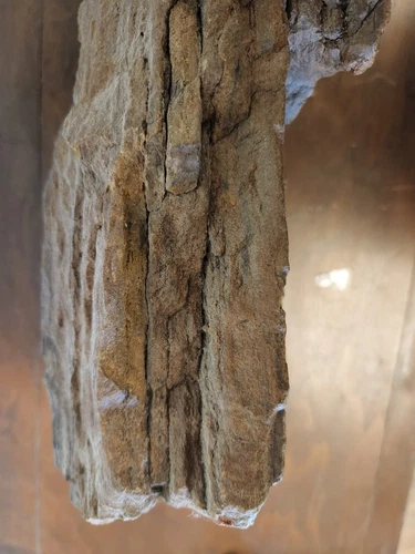 Large Heavy Driftwood for Decor and Craft Projects photo 9