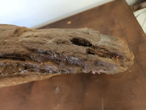 Large Heavy Driftwood for Decor and Craft Projects photo 10