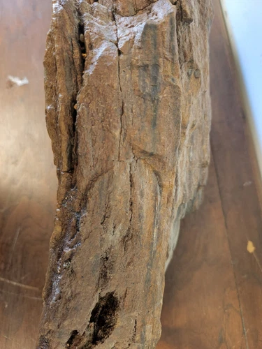 Large Heavy Driftwood for Decor and Craft Projects photo 12